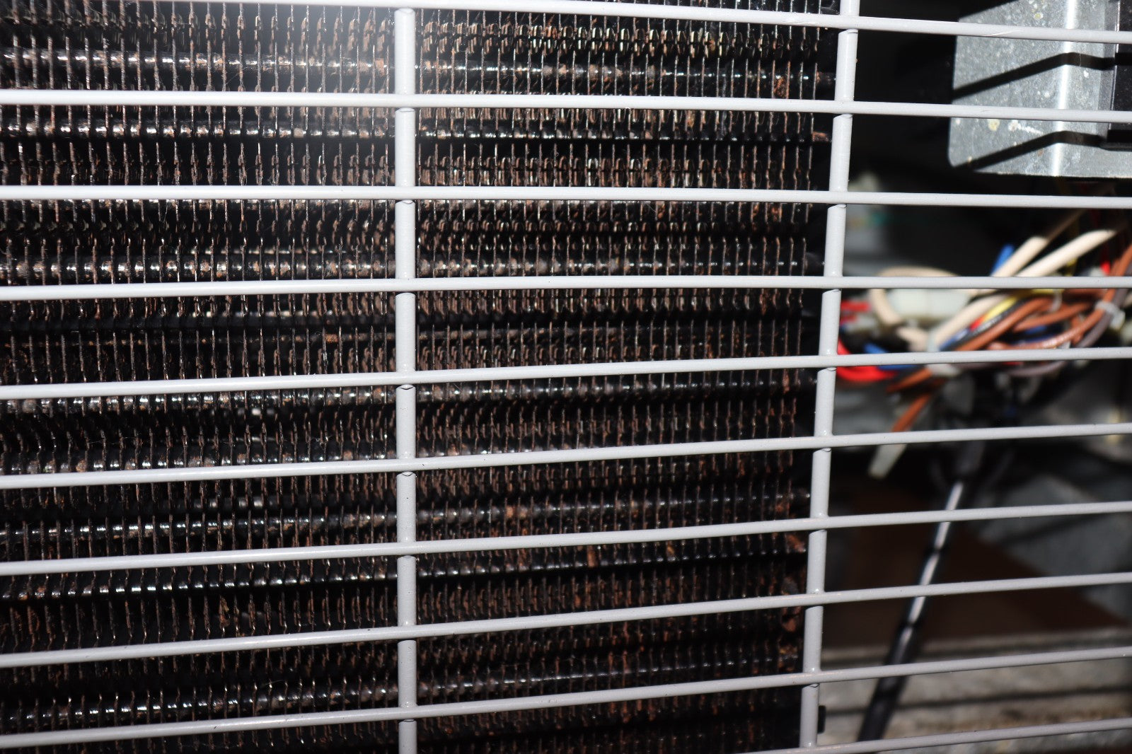 Asber AUTF-48 HC 48" 2-Section Undercounter Freezer w/ 2 Doors, 12.1 cu. ft.