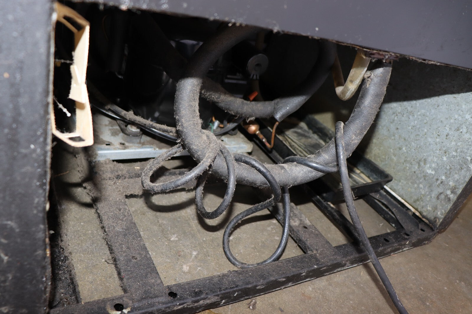 True GEM-26 Single Glass Door Refrigerator, Glass Sides, w/ Spring Loaders CLEAN